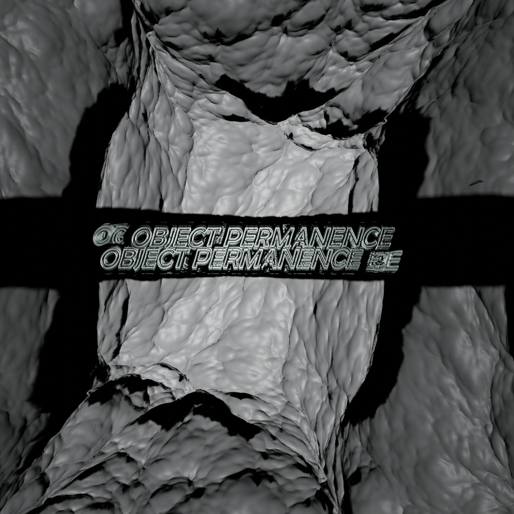 Object Permanence image
